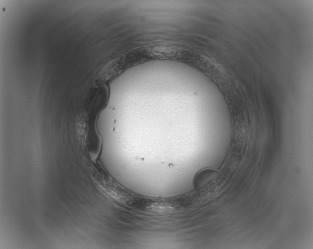 X0000069800749200606021439