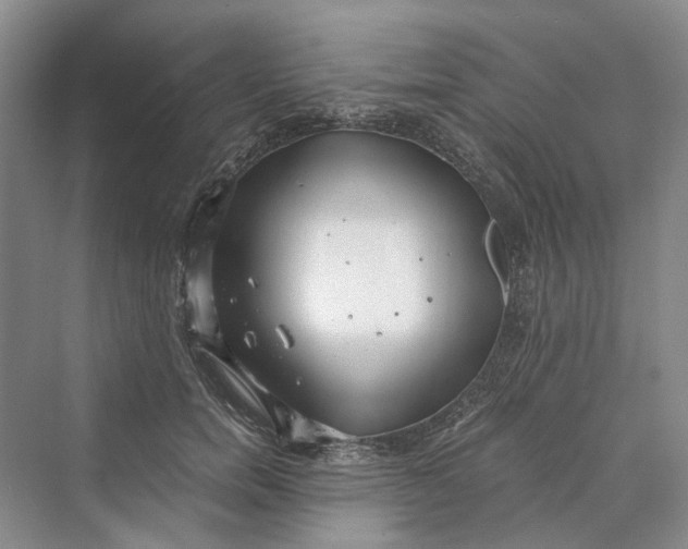 X0000069800750200606021439