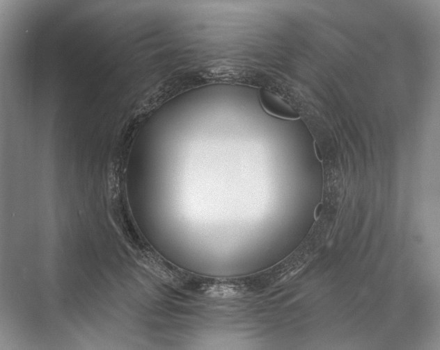 X0000069800751200606021439