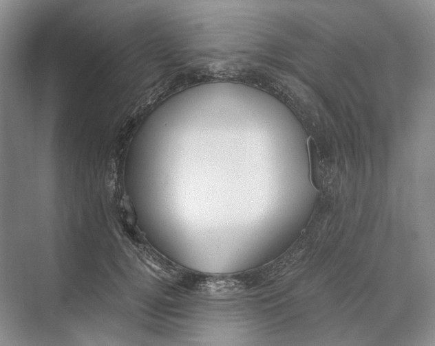 X0000069800752200606021439