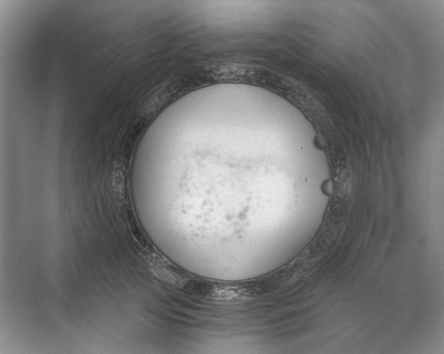 X0000069800753200606021439