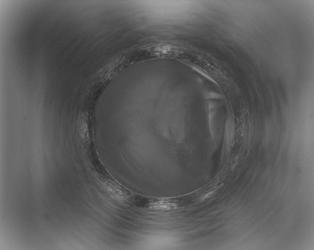 X0000069800754200606021439