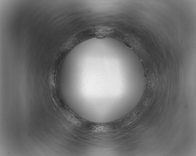 X0000069800755200606021439