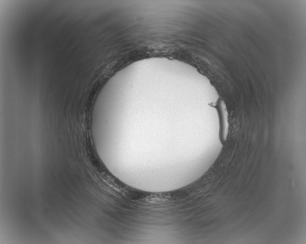 X0000069800756200606021439