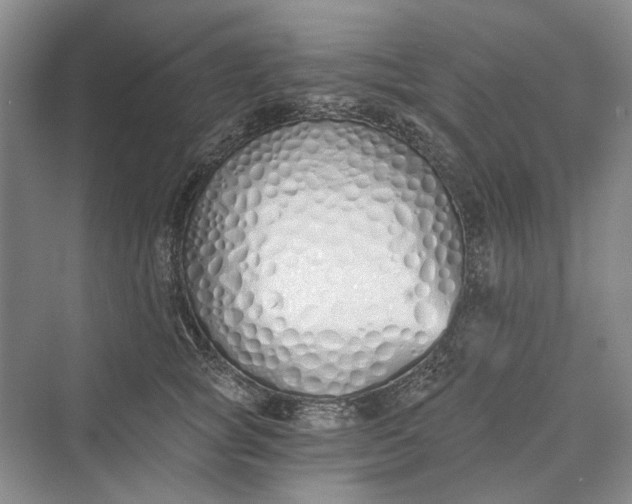 X0000069800757200606021439