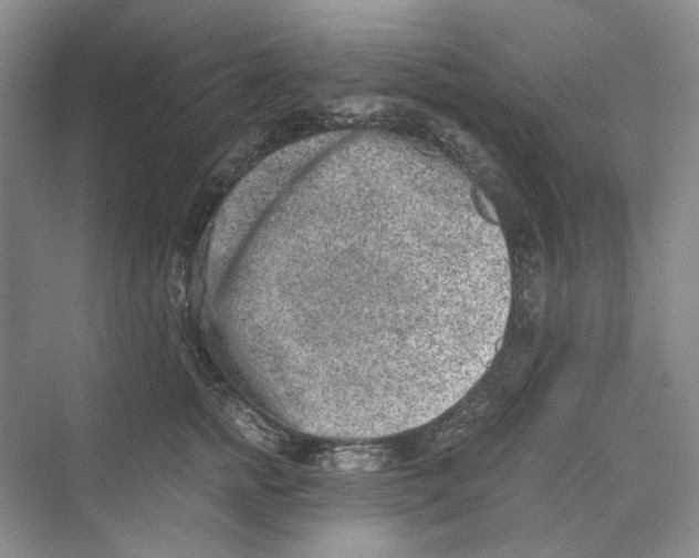 X0000069800758200606021439