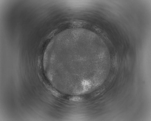 X0000069800759200606021439