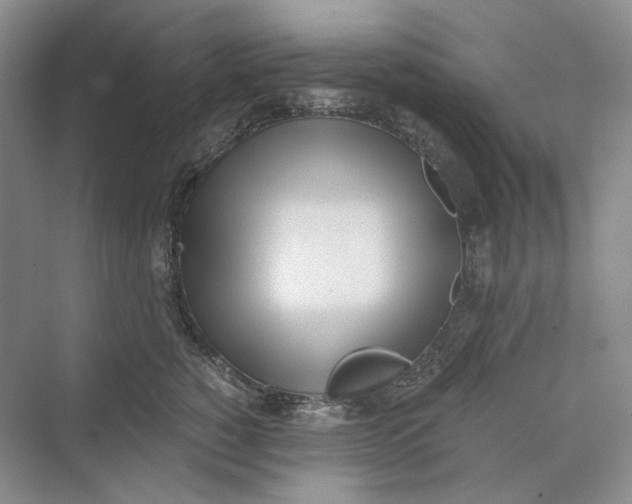 X0000069800760200606021439