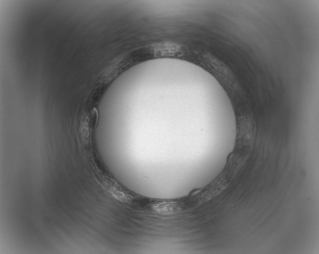 X0000069800761200606021439