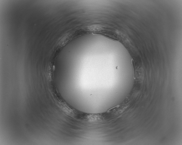 X0000069800762200606021439