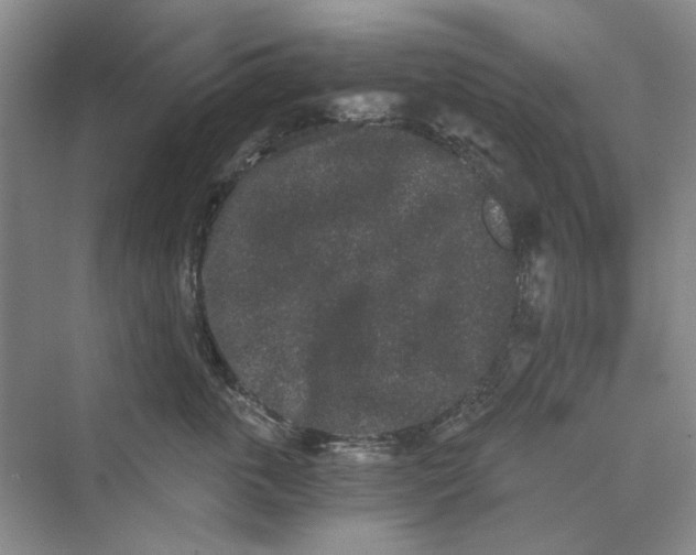 X0000069800763200606021439