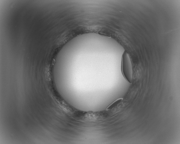 X0000069800764200606021439