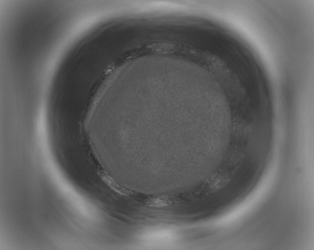 X0000069800765200606021439