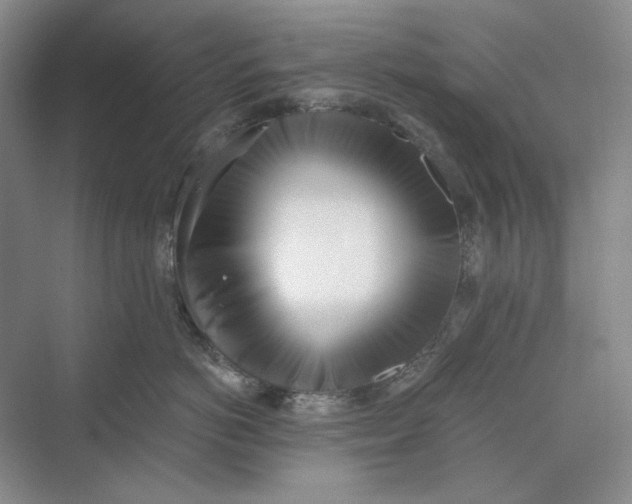 X0000069800766200606021439