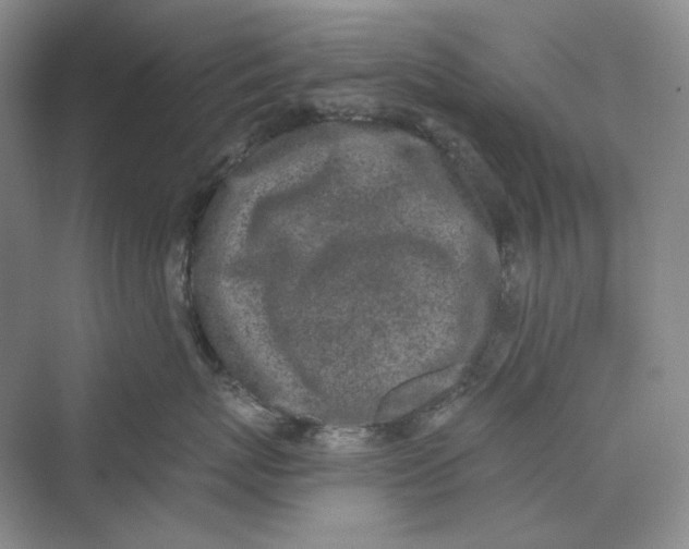 X0000069800767200606021439