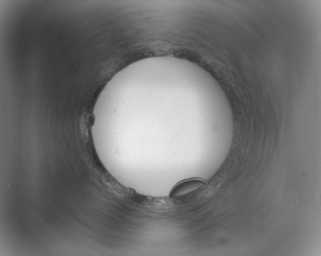 X0000069800768200606021439