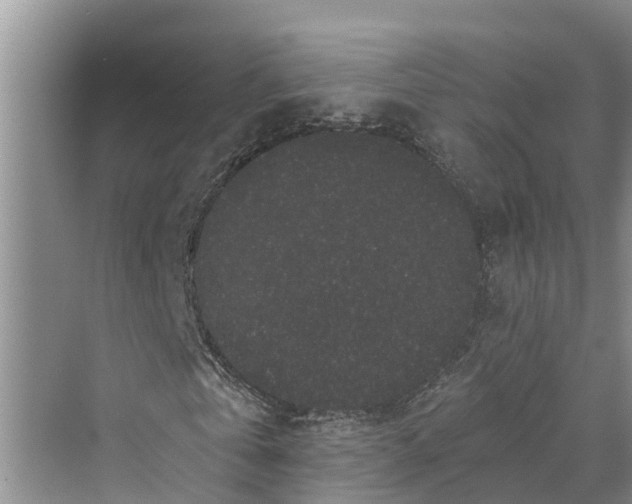 X0000069800769200606021438