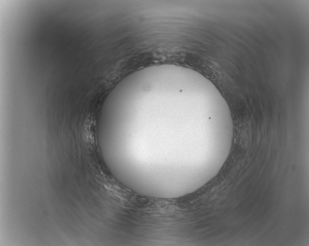 X0000069800770200606021438