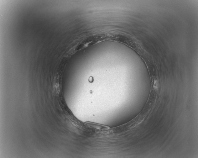 X0000069800771200606021438