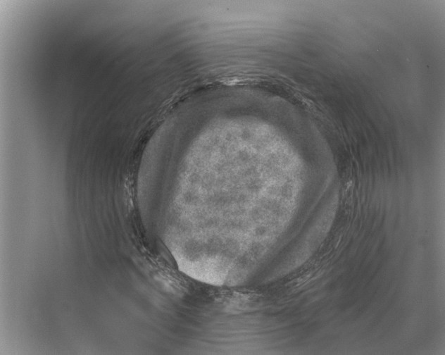 X0000069800772200606021438