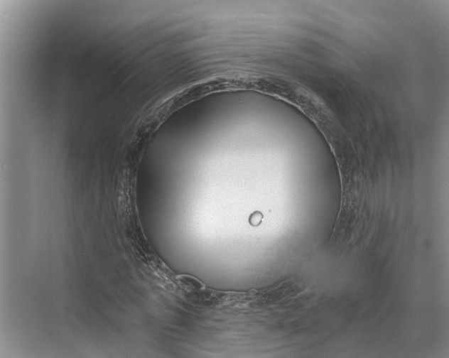 X0000069800773200606021438