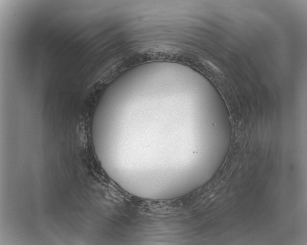 X0000069800774200606021438