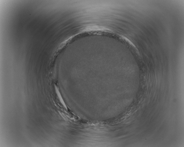 X0000069800775200606021438