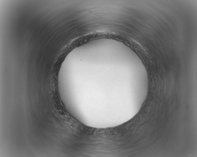 X0000069800776200606021438