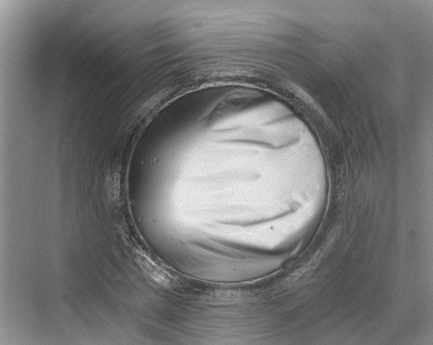 X0000069800777200606021438