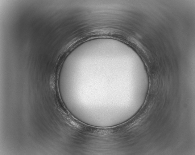 X0000069800778200606021438