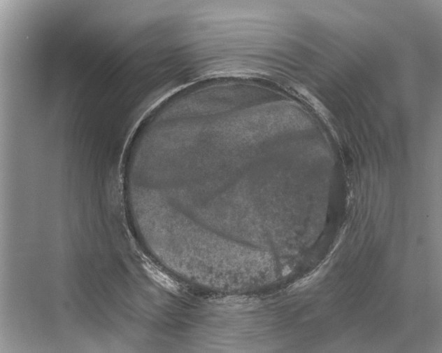 X0000069800779200606021438