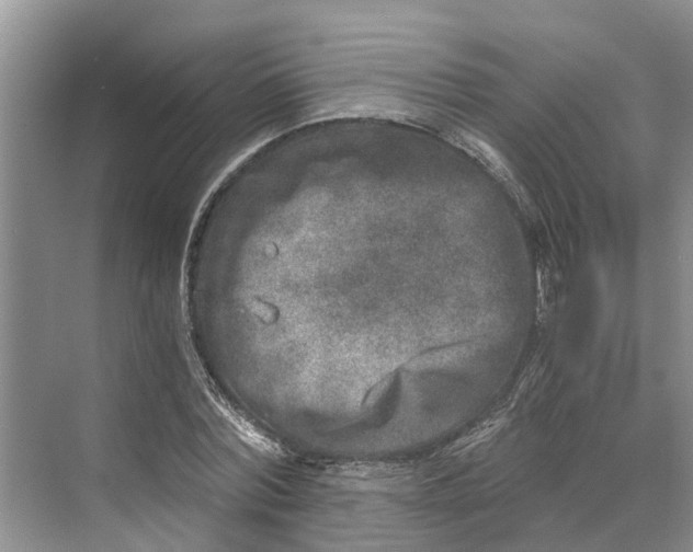 X0000069800780200606021438