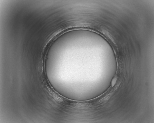 X0000069800781200606021438