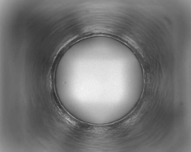 X0000069800782200606021438