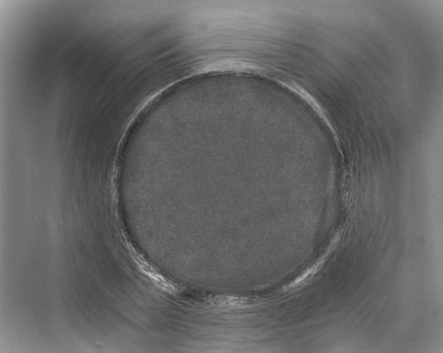 X0000069800783200606021438