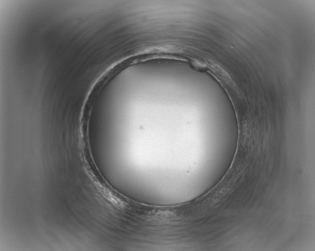 X0000069800784200606021438