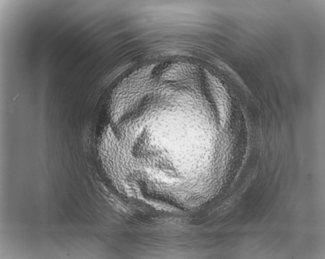 X0000069800785200606021438