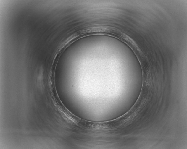 X0000069800786200606021438