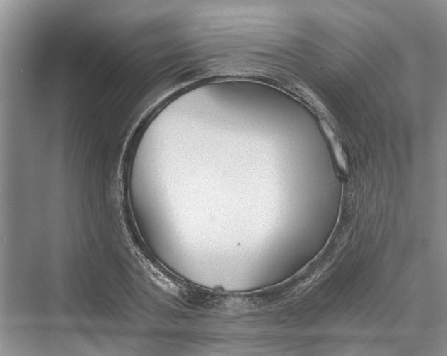 X0000069800787200606021438