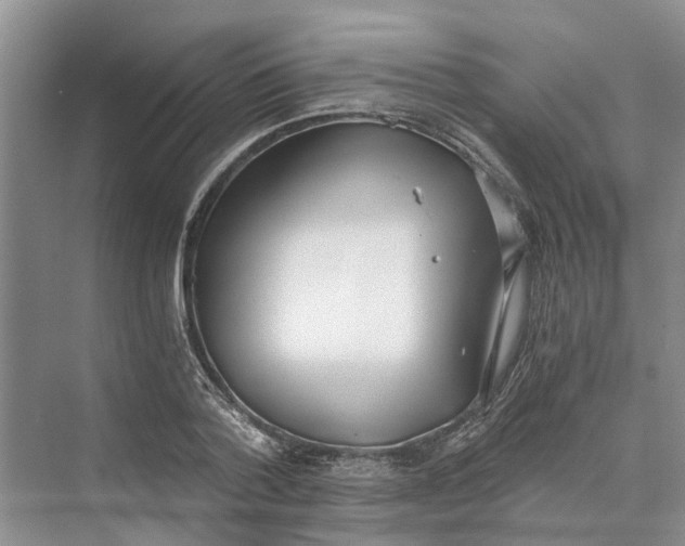 X0000069800788200606021438