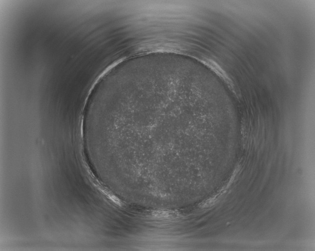 X0000069800790200606021438