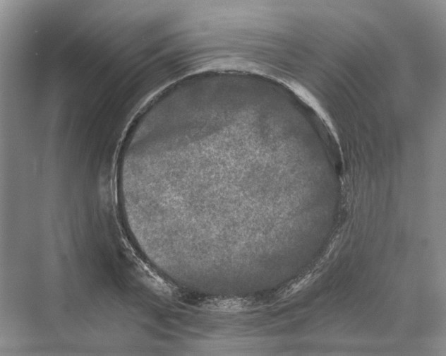 X0000069800791200606021438