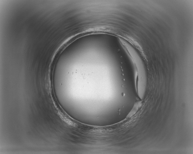 X0000069800792200606021438