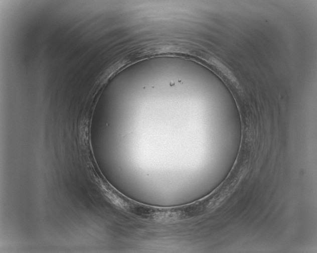 X0000069800793200606021438