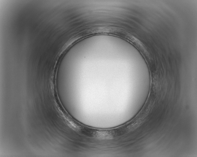 X0000069800794200606021438