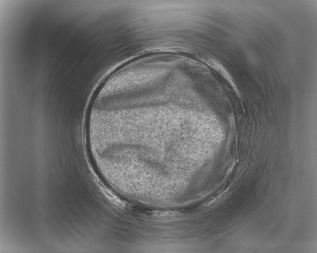 X0000069800795200606021438