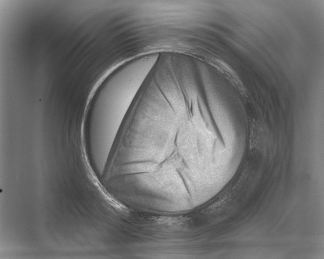 X0000069800796200606021438