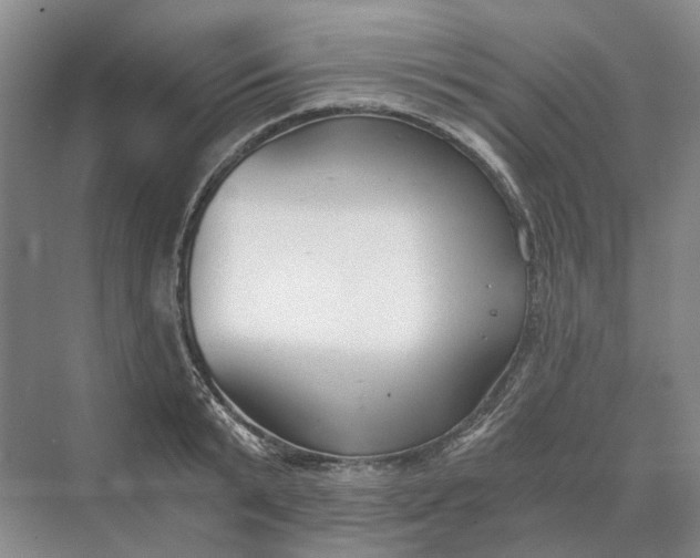 X0000069800799200606021438