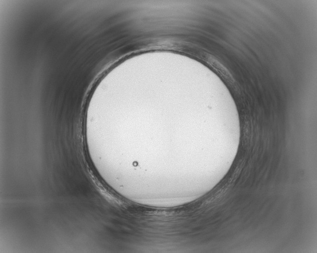 X0000069800800200606021438