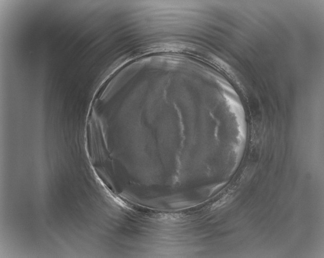 X0000069800802200606021438